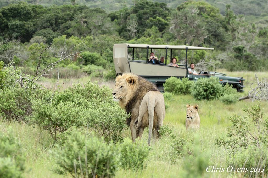 Sibuya Game Reserve And Lodge Kenton on Sea Luaran gambar